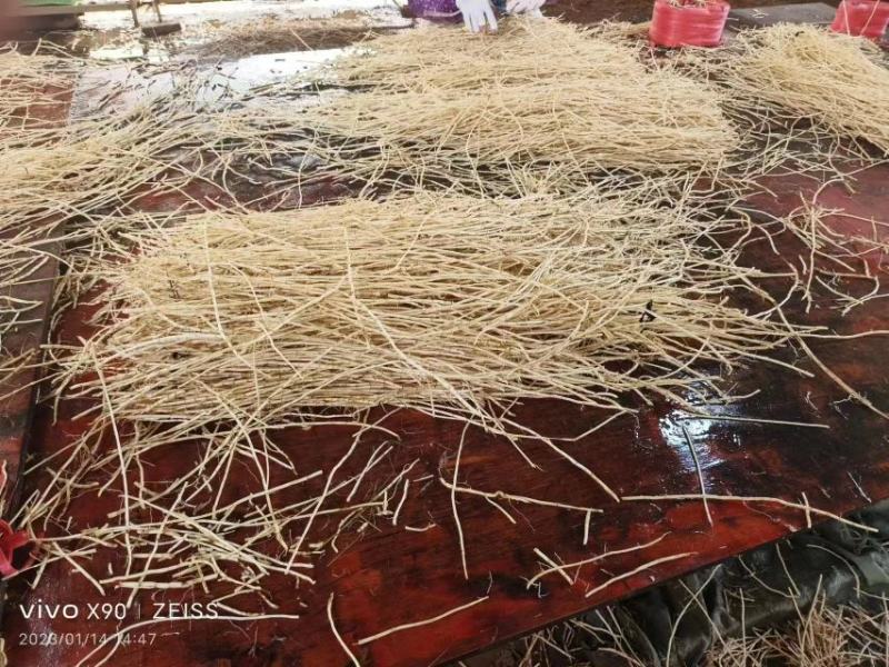 中草药白茅根常年有货规格齐全品质保证实力代办批发