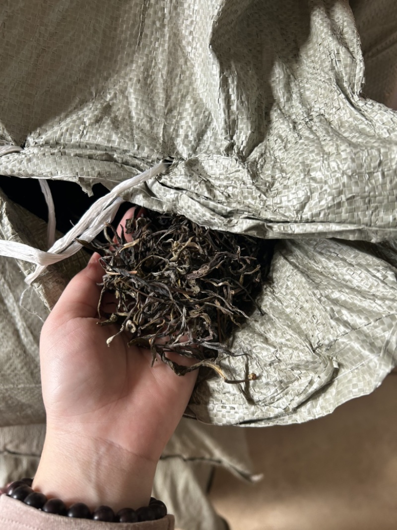 支持定制普洱茶生茶散茶15元一斤