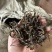 支持定制普洱茶生茶散茶15元一斤