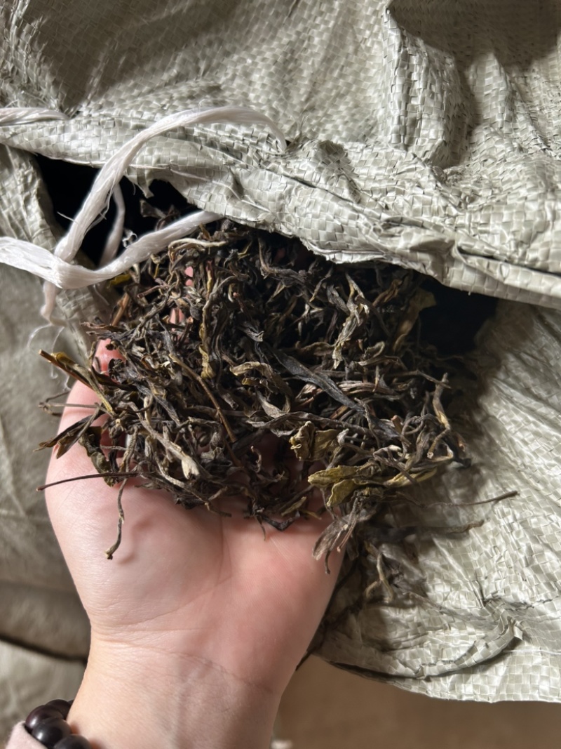 支持定制普洱茶生茶散茶15元一斤