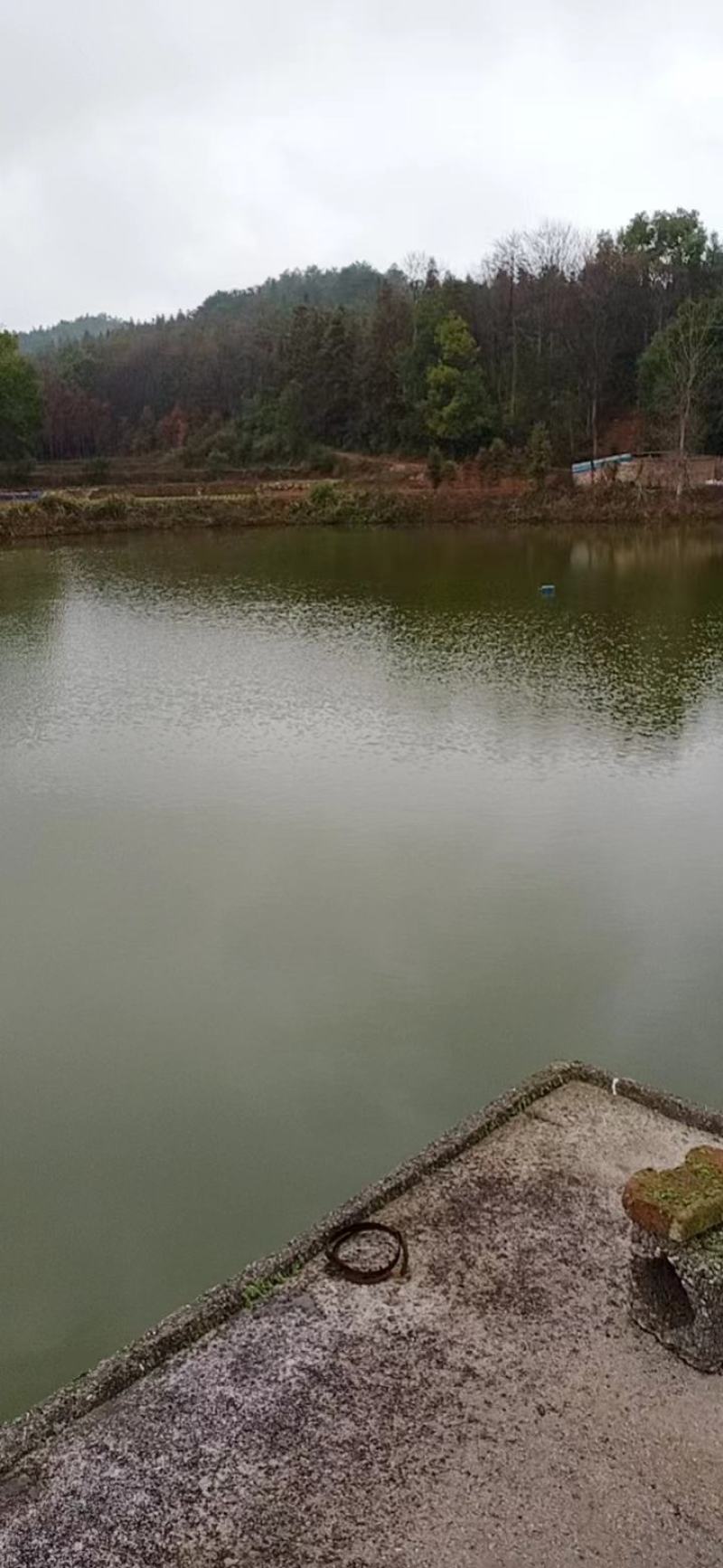 水产养殖用地