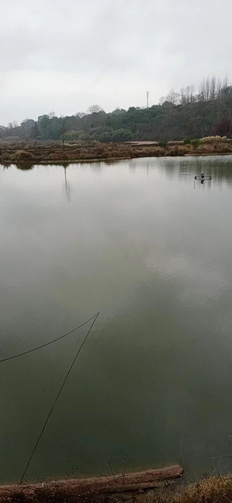 水产养殖用地