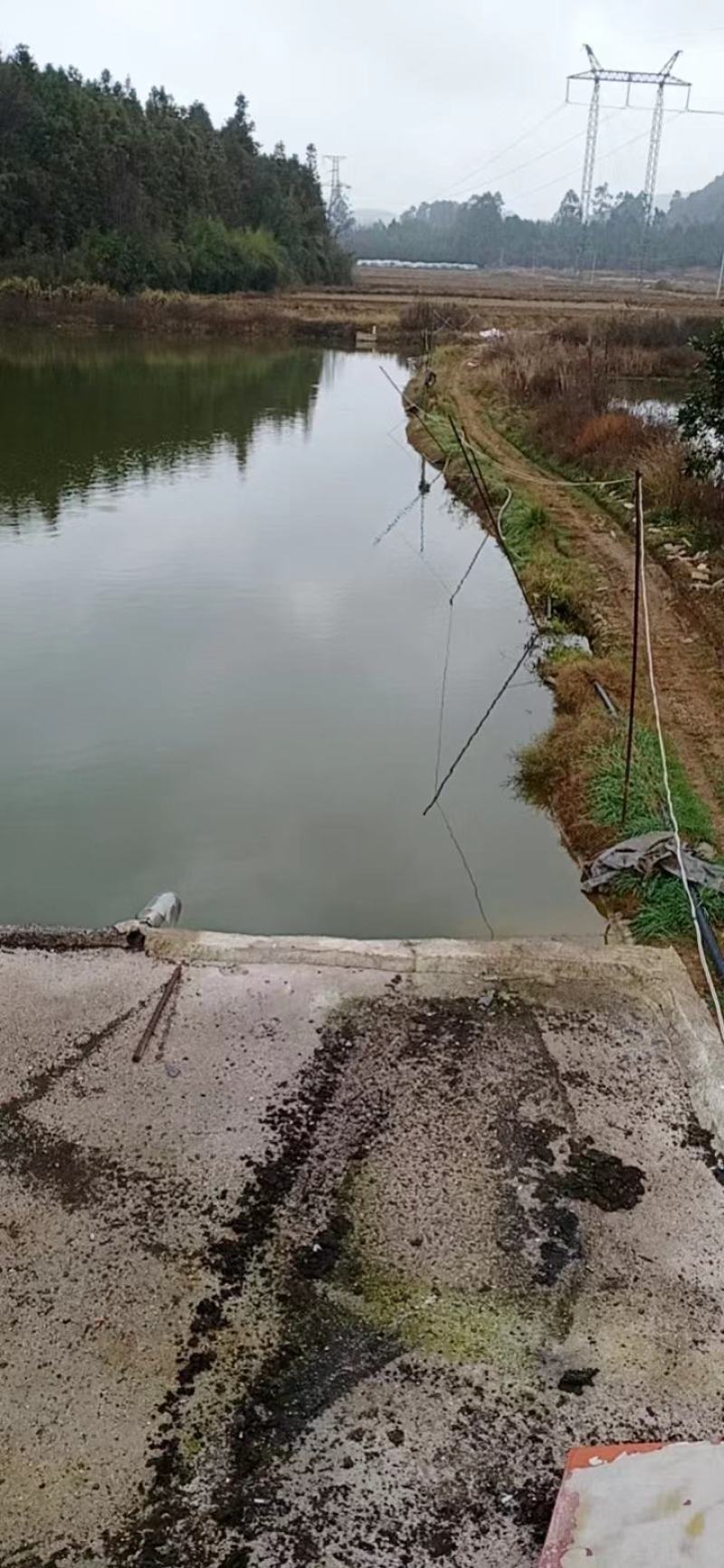 养殖用地