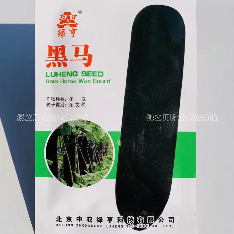 绿亨黑马冬瓜种子特大号黑皮冬瓜种子丰产型墨绿皮长炮弹形