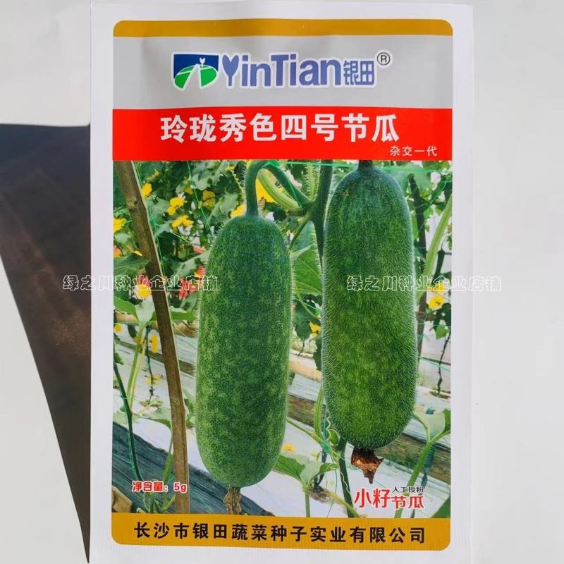 银田冬瓜玲珑秀色四号节瓜种子新型节瓜小型冬瓜种子