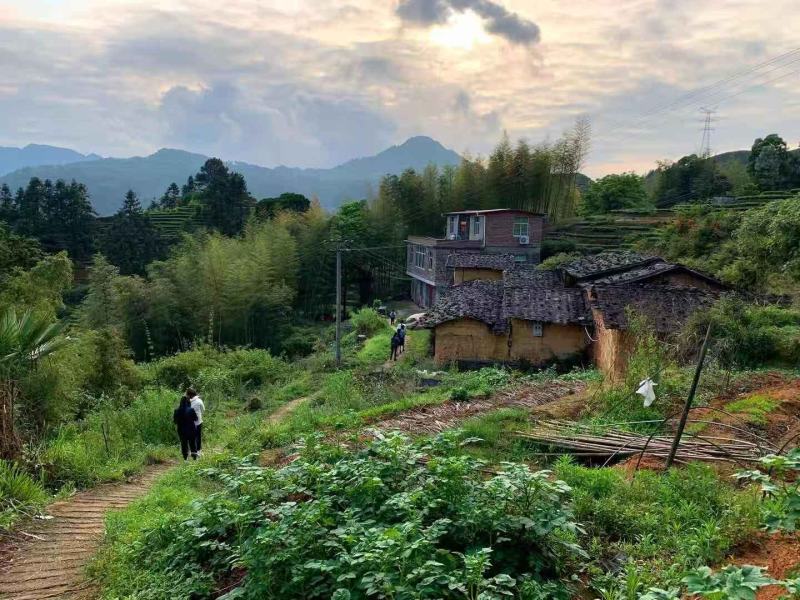 茶化石糯米香茶叶12年陈香云南碎银子500g