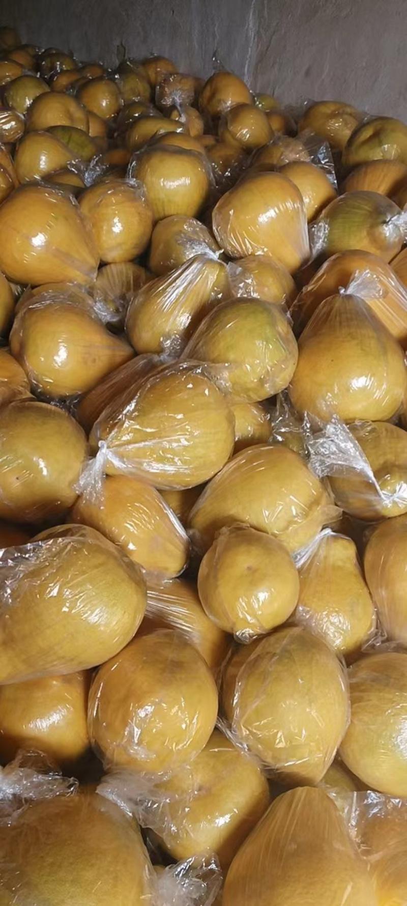 【优选】湖南柚子香柚大量供应全国发货量大从优