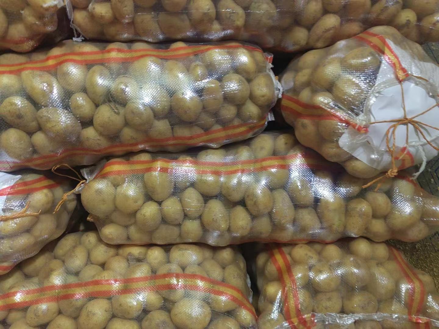 土豆分装冷冻示意图