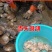 新鲜河蚌
