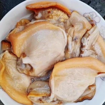 新鲜河蚌