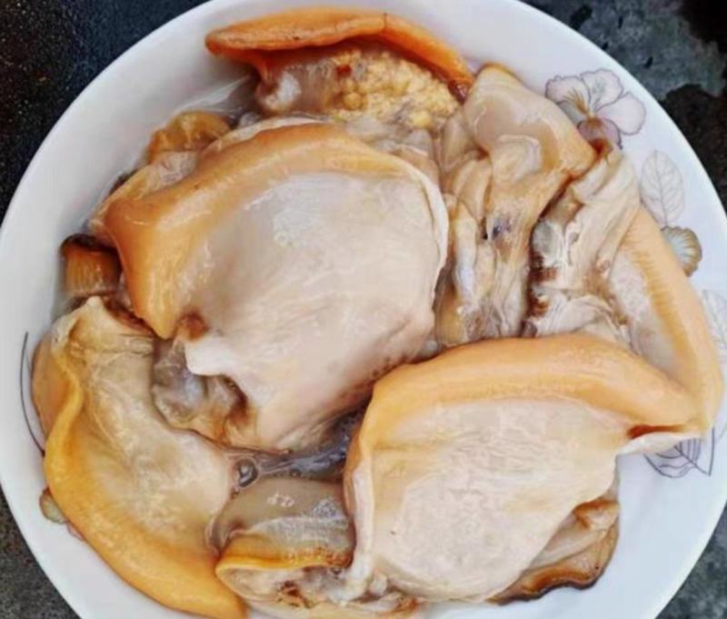 新鲜河蚌