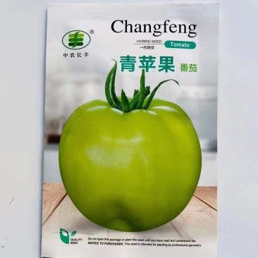 青苹果番茄种子成熟果青绿色西红柿种子无限生长型抗病毒