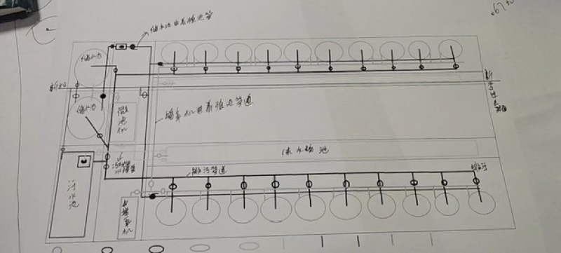 黄颡鱼苗黄骨鱼苗高密度循环桶养殖黑鱼有地有可以养