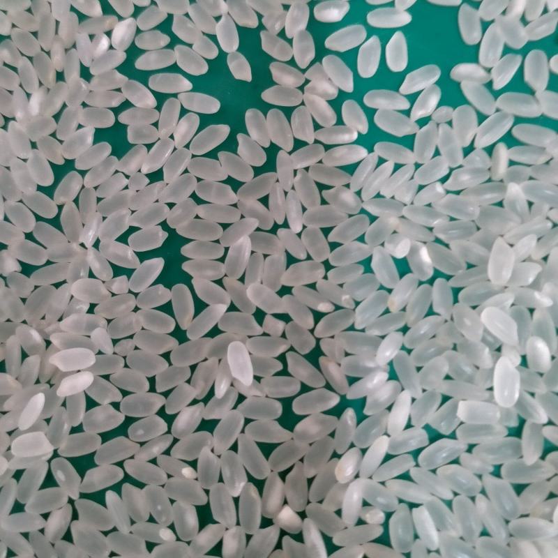 批发东北新珍珠大米，(长粒香大米，碎大米，选白米)