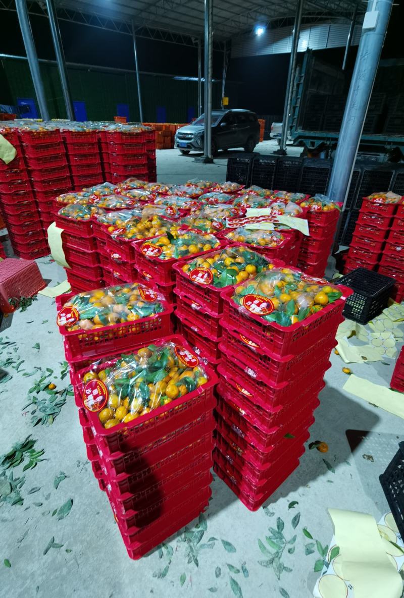 网红精品小箩筐沙糖桔，年货热卖，口感甜蜜。