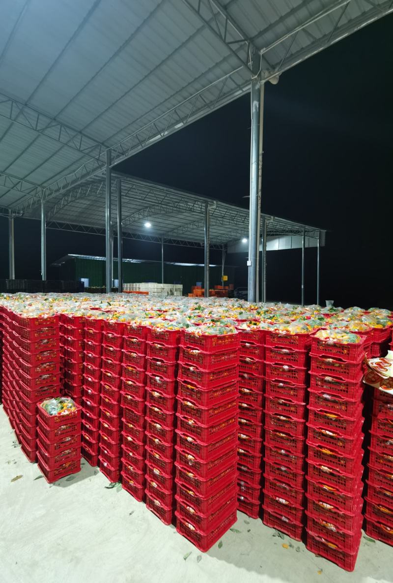 网红精品小箩筐沙糖桔，年货热卖，口感甜蜜。
