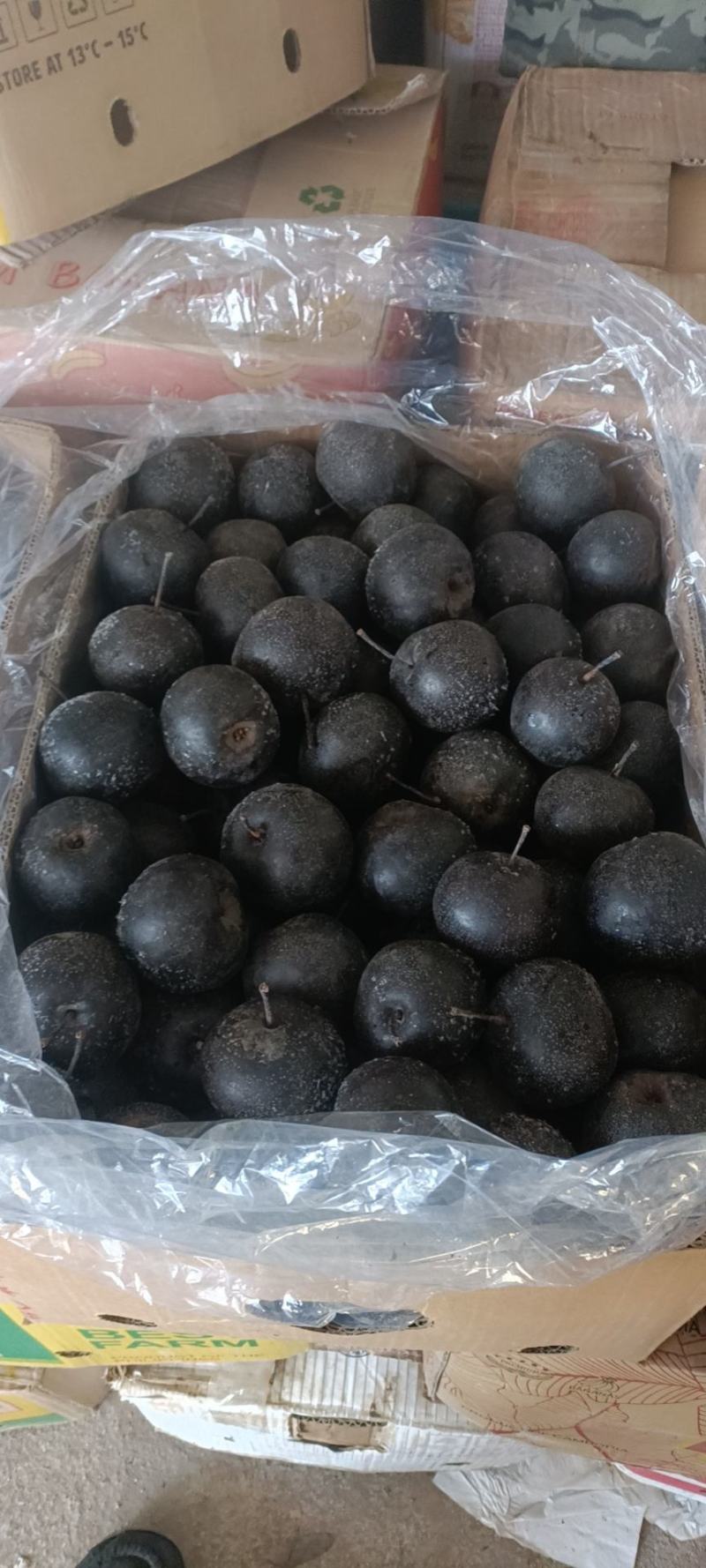 东北大冻梨有货价格不贵质量好都是冷库货