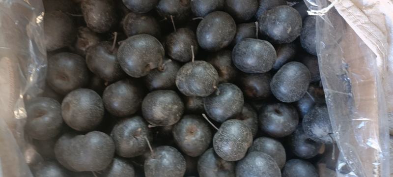 东北大冻梨有货价格不贵质量好都是冷库货