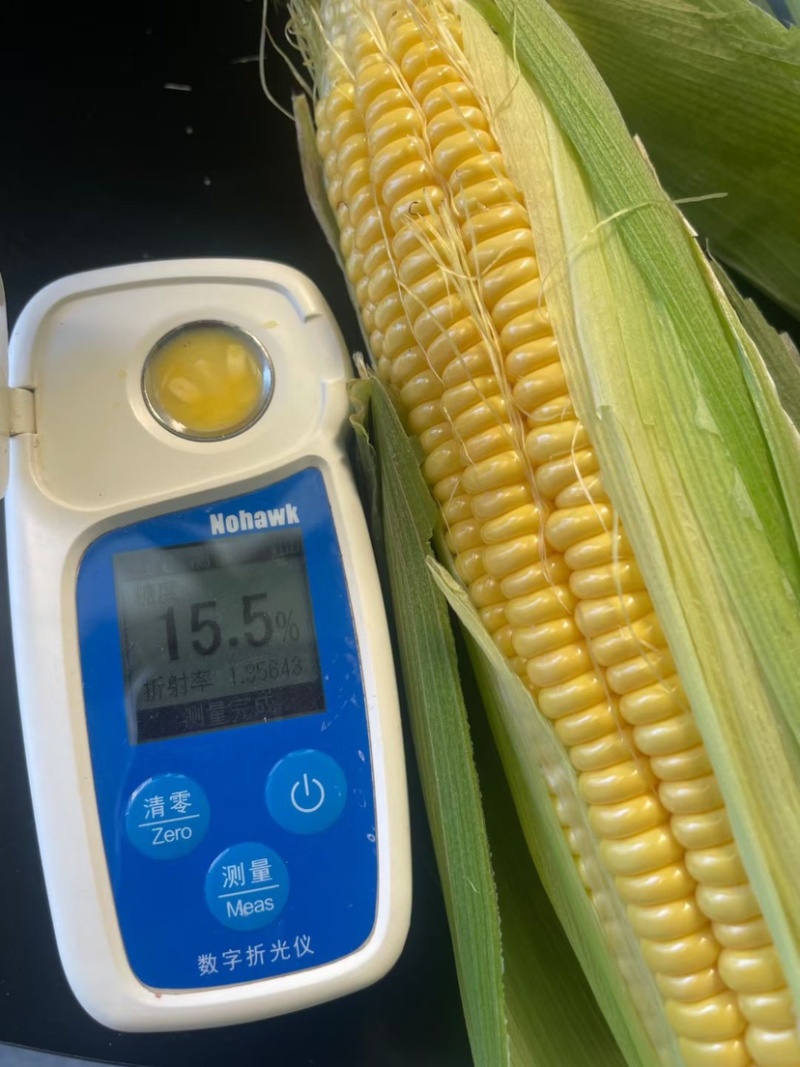 玉米甜玉米糯玉米水果玉米万糯2000太阳花