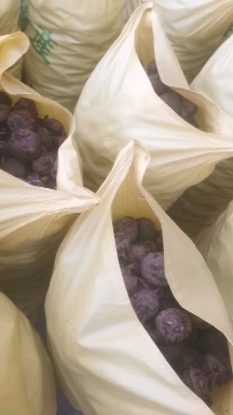 精品干马蹄，大果12个左右，欢迎新老客户订购。