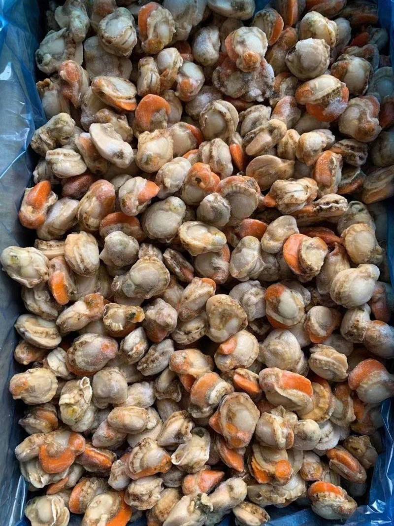 新鲜冷冻扇贝肉夏威夷贝肉大扇贝肉日月贝肉元贝扇贝肉批发商
