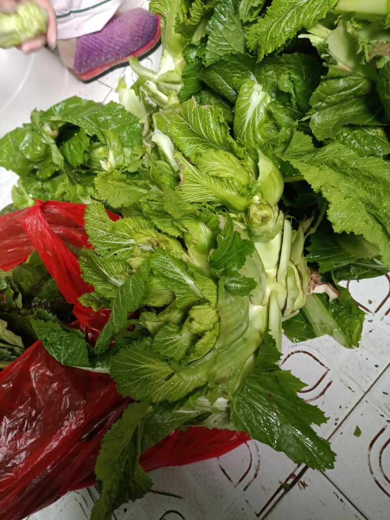 我卖的各儿菜
