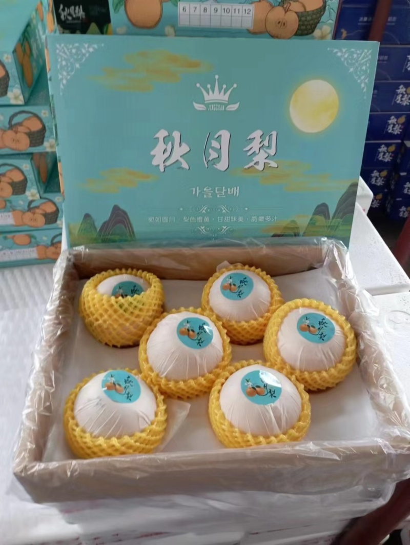 『秋月梨🍐』大量上市，对接各大市场商超公司福利欢迎咨询