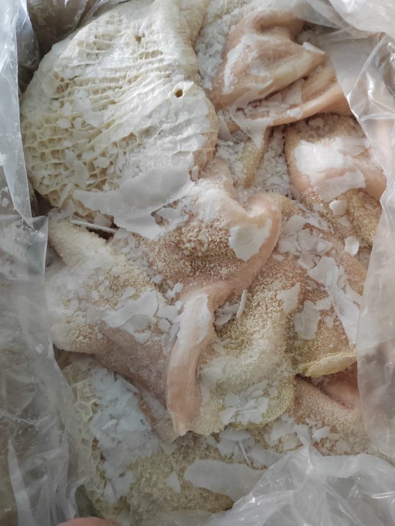 牛肚，纯干无注水，油去的干净，货源充足全国发货。手续齐全