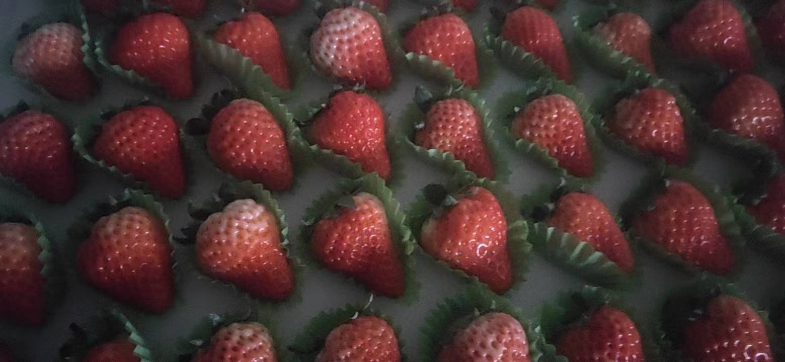 展示红颜草莓与章姬草莓的果肉结构与颜色差异 红颜草莓与章姬草莓切面对比图