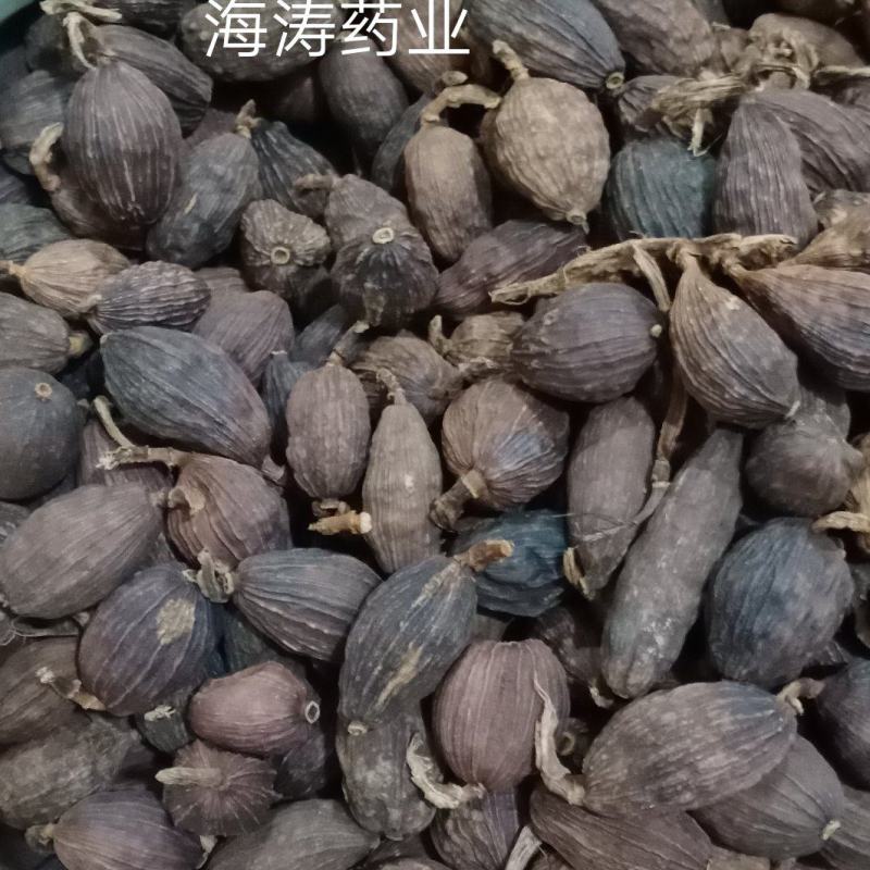 草果香料批发.中药材批发.质量保证规格齐全.