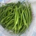 【可视频看货】湛江鲜辣椒线椒8号线量大质优
