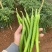 【可视频看货】湛江鲜辣椒线椒8号线量大质优