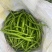 【可视频看货】湛江鲜辣椒线椒8号线量大质优