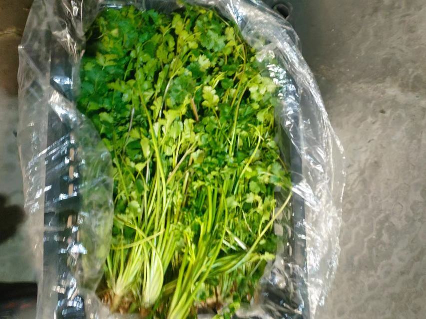 香菜的营养成分展示图