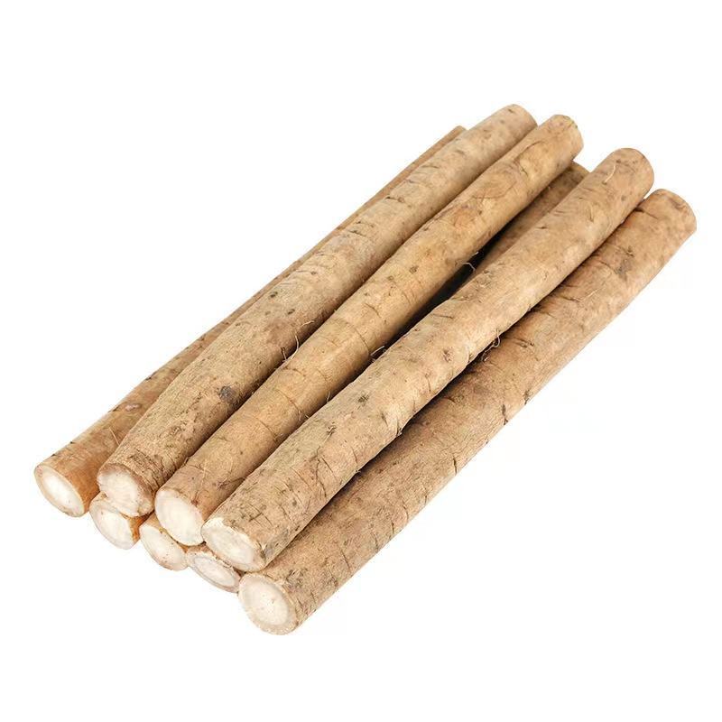 牛蒡新鲜牛蒡大量上市基地直供保质保量可视频看货