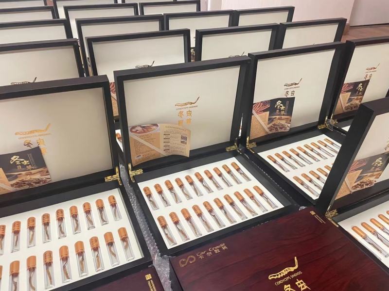 [冬虫夏草]定制礼盒装，质量保证，送礼必备