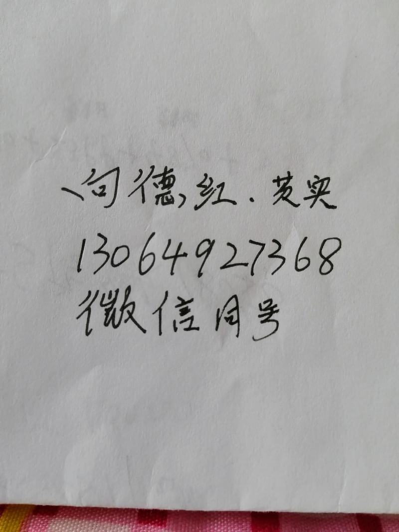 水中人参，鸡头米，又名芡实
