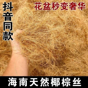 海南椰棕丝包邮铺垫园艺花卉植物盆栽装饰花盆覆盖铺面