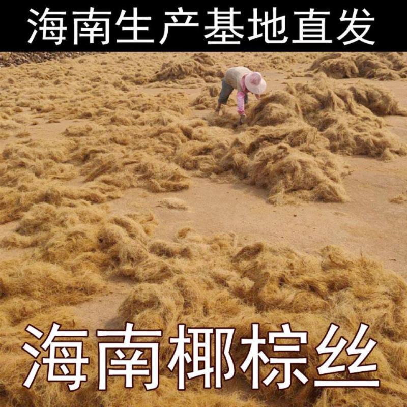 海南椰棕丝包邮铺垫园艺花卉植物盆栽装饰花盆覆盖铺面