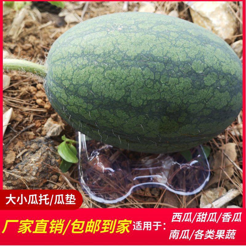 厂家加厚西瓜托哈密瓜香瓜甜瓜托吸塑塑料瓜垫防腐烂瓜托