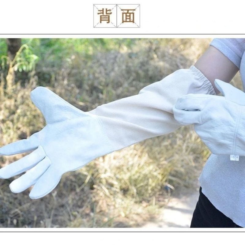 羊皮手套养蜂用防蜂蜇加厚柔软取蜂蜜工具透气防护蜂衣蜂帽