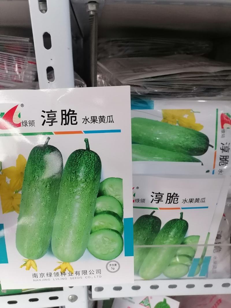 绿领清脆早熟短棒型水果黄瓜种子皮薄脆甜爽口