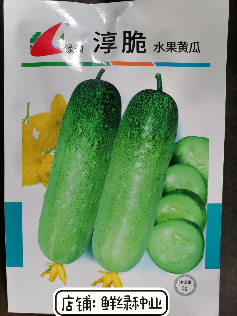 绿领清脆早熟短棒型水果黄瓜种子皮薄脆甜爽口