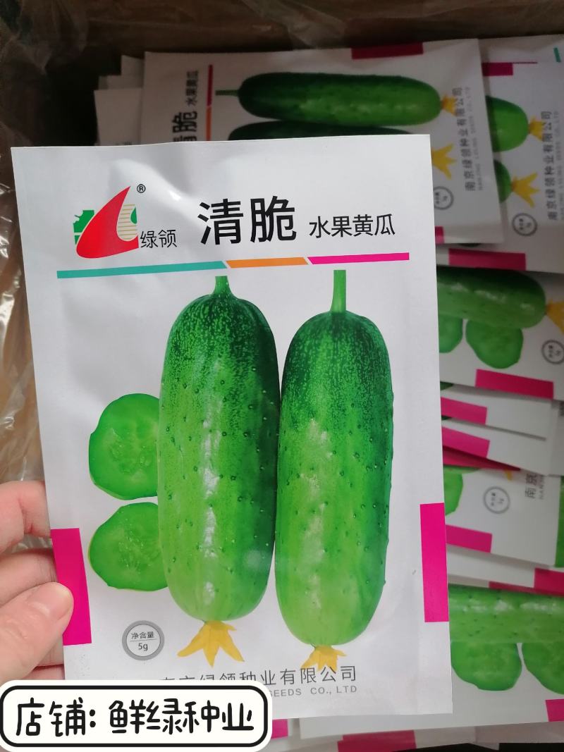 绿领淳脆早熟水果黄瓜种子皮薄肉厚清香甜脆