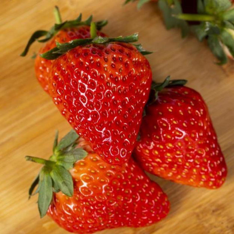 云南奶油草莓大量上市，口感好，品质保证，欢迎咨询下单