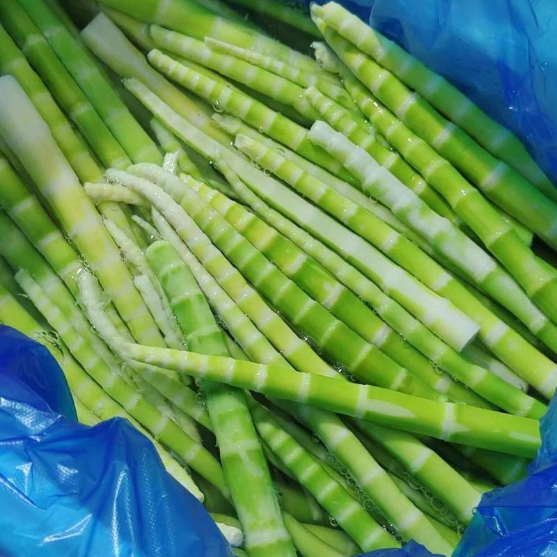『荐』新鲜绿笋常年供用，产地直发一手货源欢迎致电