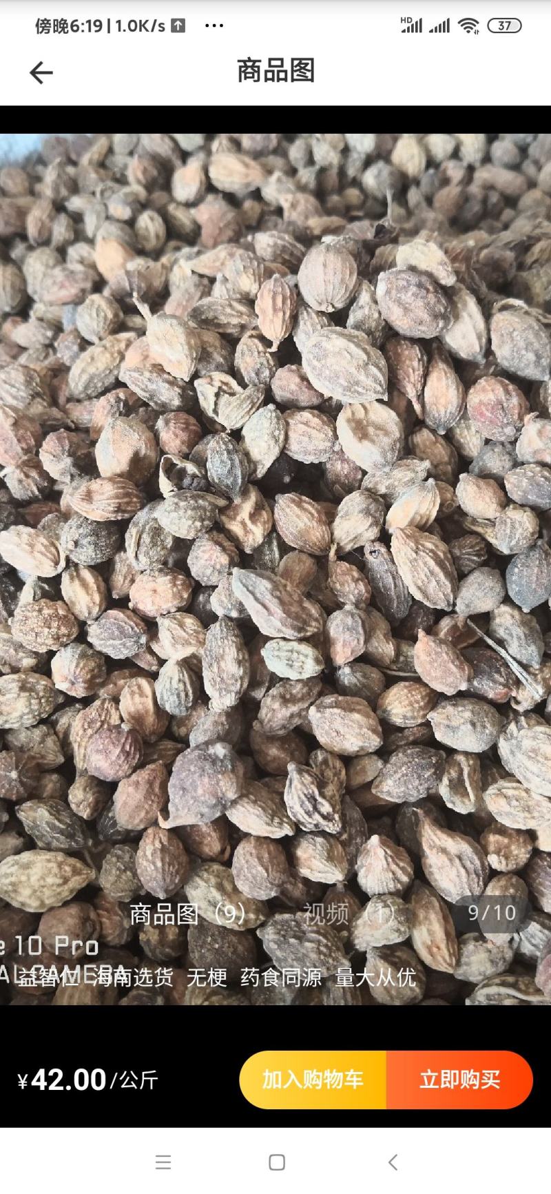 益智仁干货益智仁欢迎选购！量大从优！