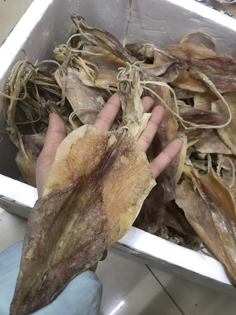 鱿鱼干船上吊晒鱿鱼干纯淡干足干鲜甜美味