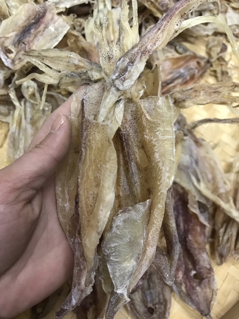 鱿鱼干船上吊晒鱿鱼干纯淡干足干鲜甜美味