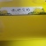 金丝皇菊黄菊礼盒装价格优惠量大从优一件代发